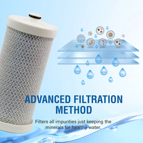 Swift Green Filter SGF-WFCB VOC Removal Refrigerator Water Filter